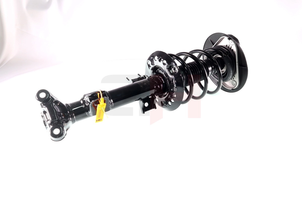 Suspension Strut Quick-Strut GH-353312C02