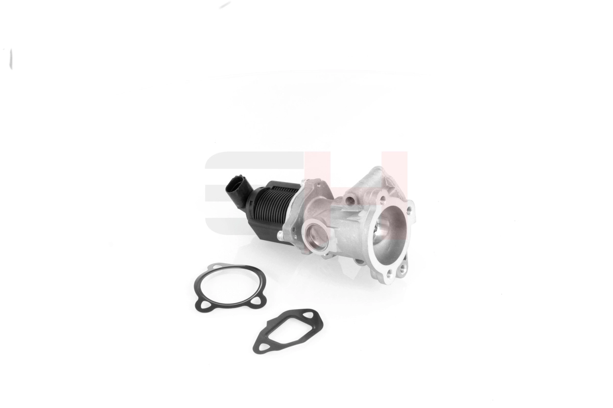 EGR Valve GH-732344