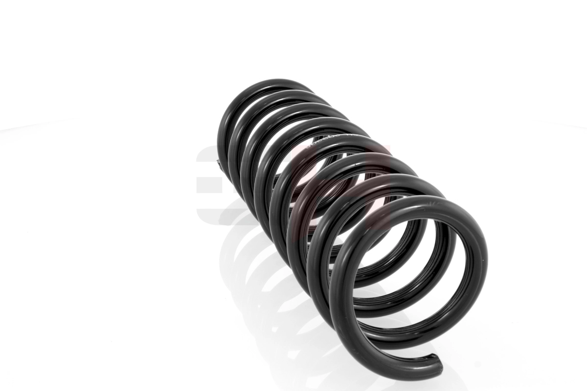 Suspension Spring GH-203306
