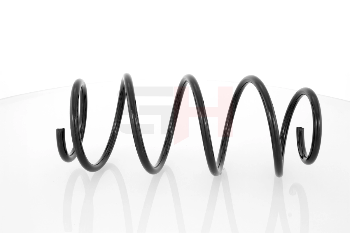 Suspension Spring GH-209923