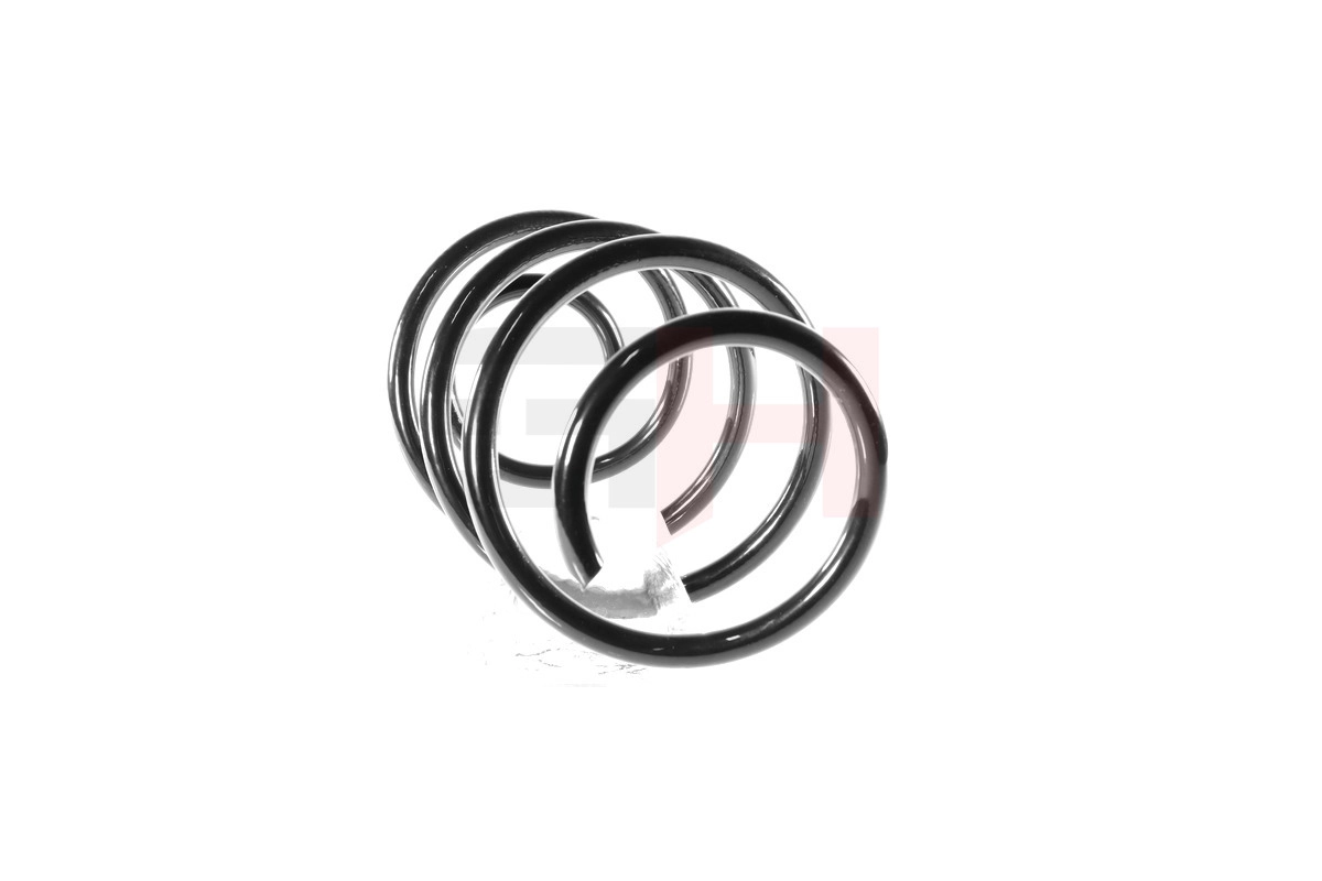 Suspension Spring GH-209913