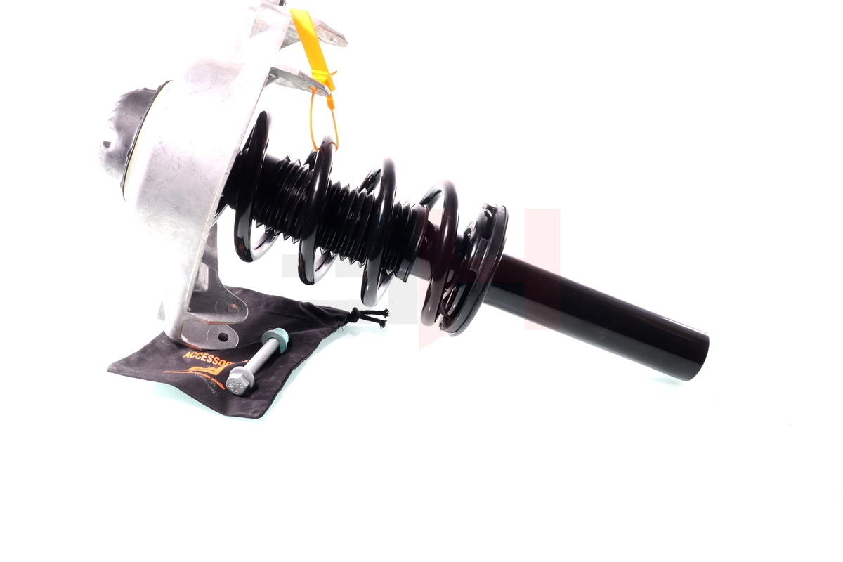 Suspension Strut Quick-Strut GH-334703C02