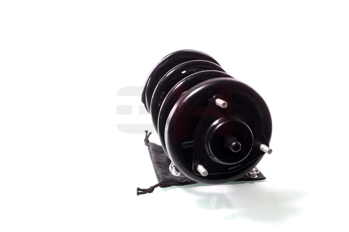Suspension Strut Quick-Strut GH-351904C03