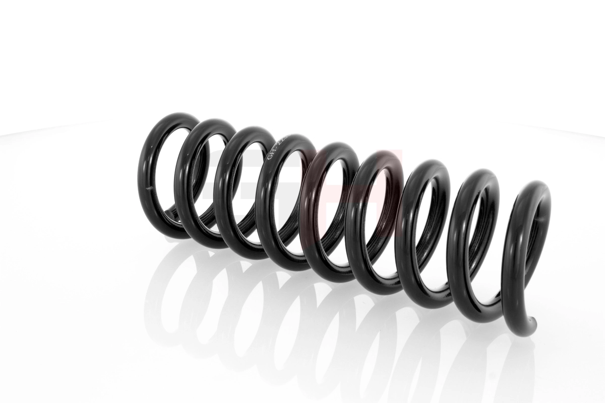 Suspension Spring GH-223306