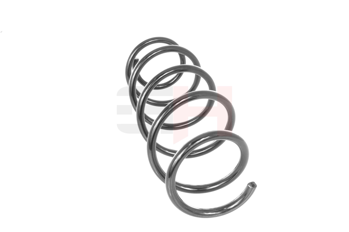 Suspension Spring GH-204306