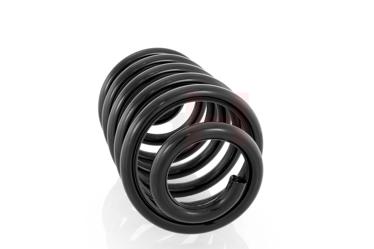 Suspension Spring GH-223305