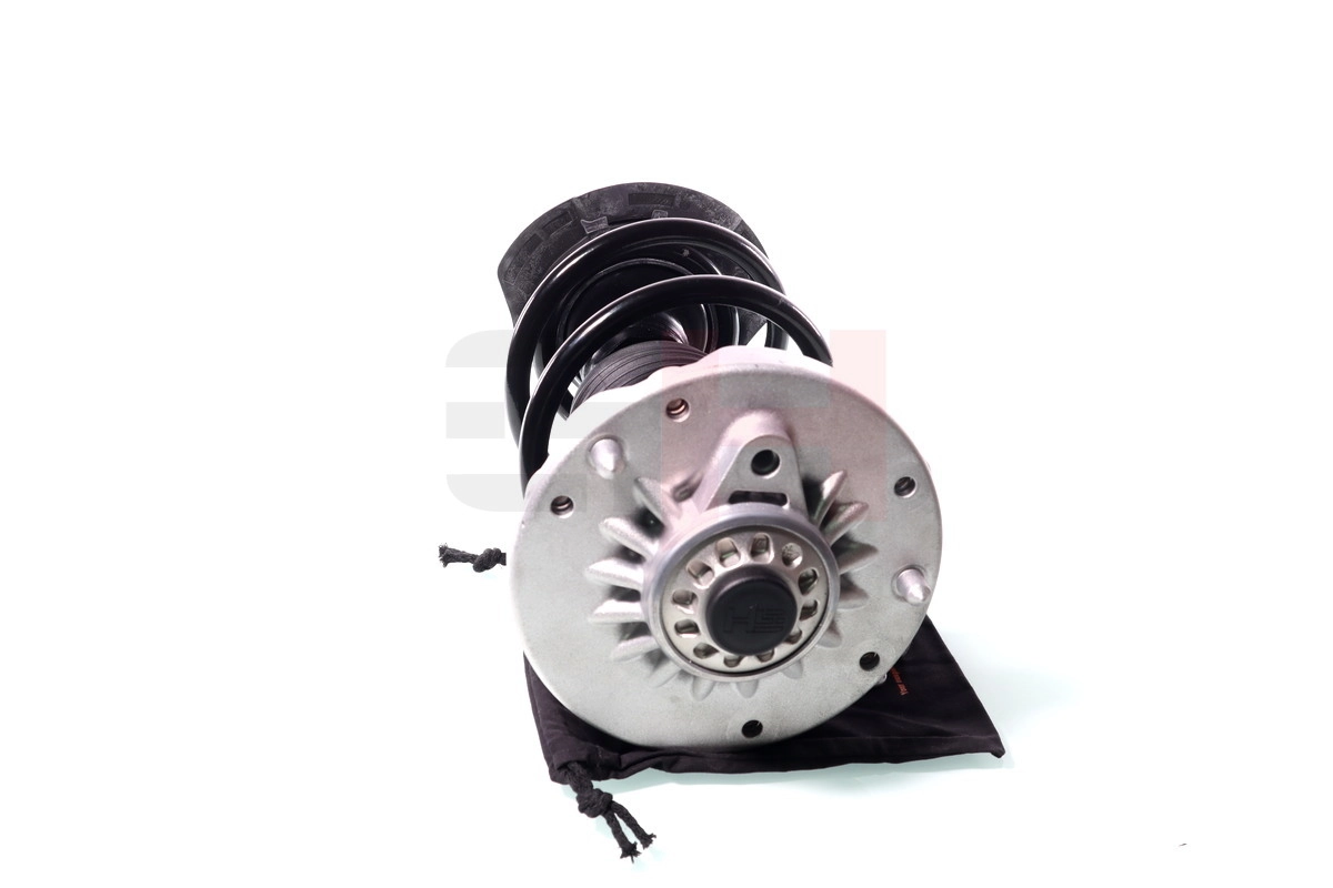 Suspension Strut Quick-Strut GH-351589C01