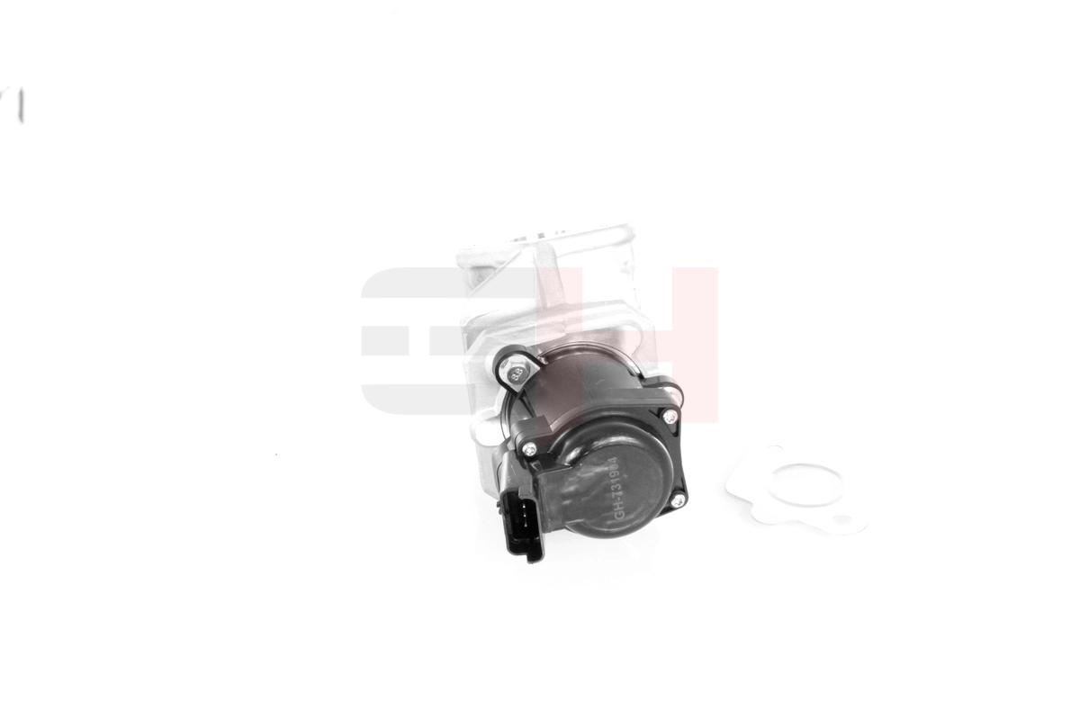EGR Valve GH-731904