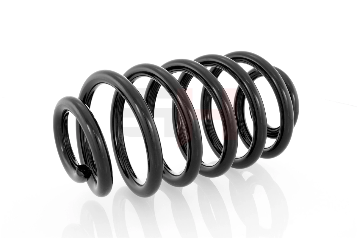 Suspension Spring GH-223305