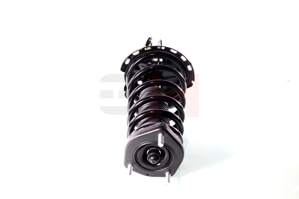 Suspension Strut Quick-Strut GH-356301C01