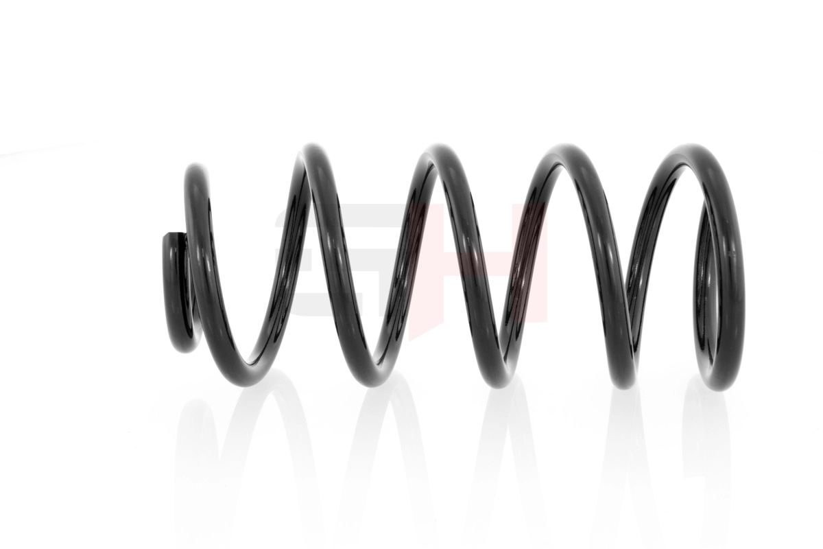 Suspension Spring GH-222310