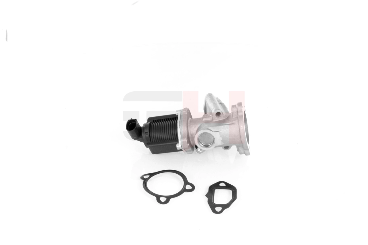 EGR Valve GH-732344