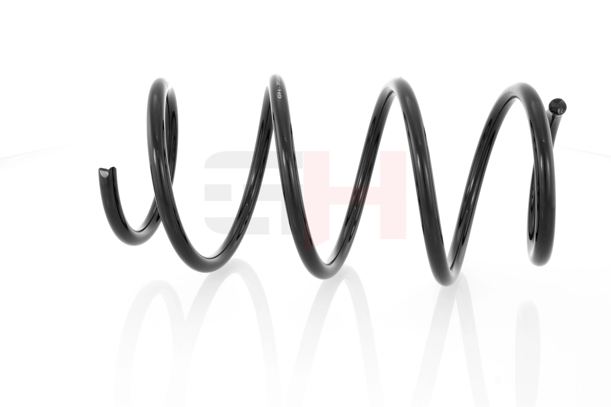 Suspension Spring GH-203921