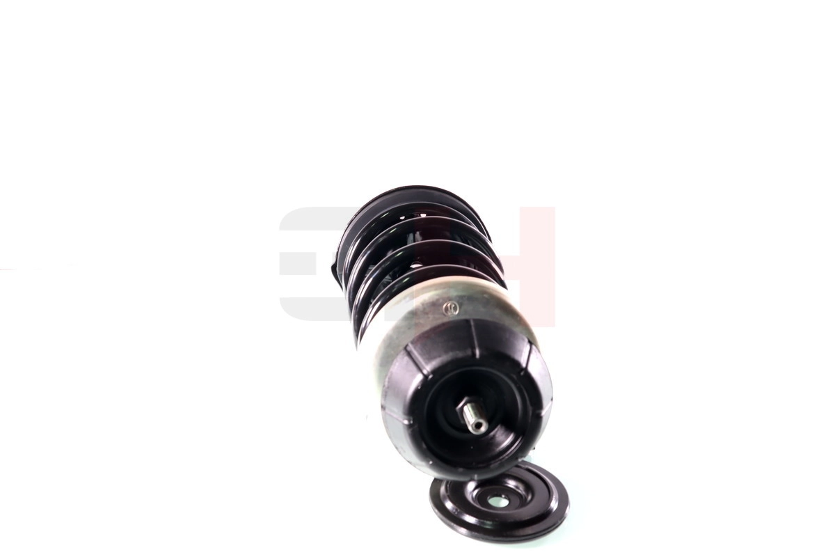 Suspension Strut Quick-Strut GH-355252C02