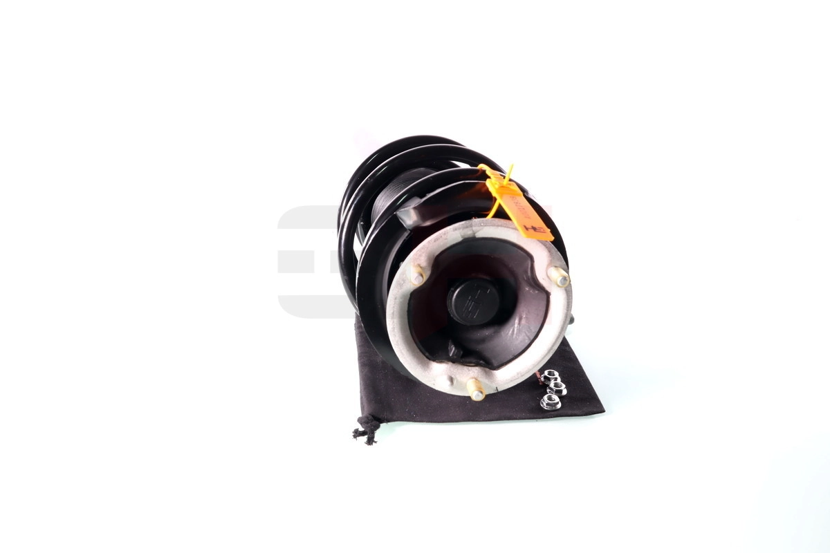 Suspension Strut Quick-Strut GH-351581C02