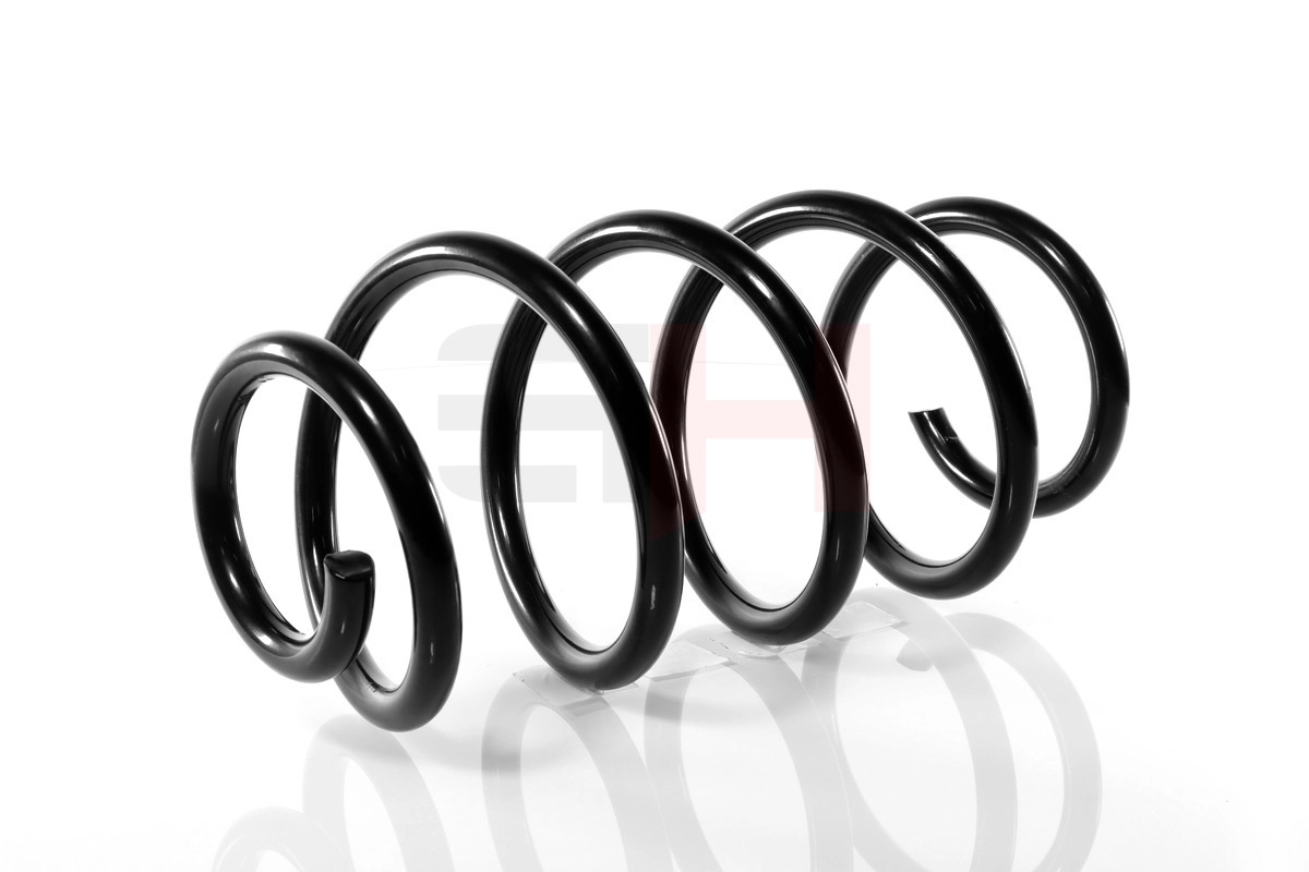 Suspension Spring GH-204725
