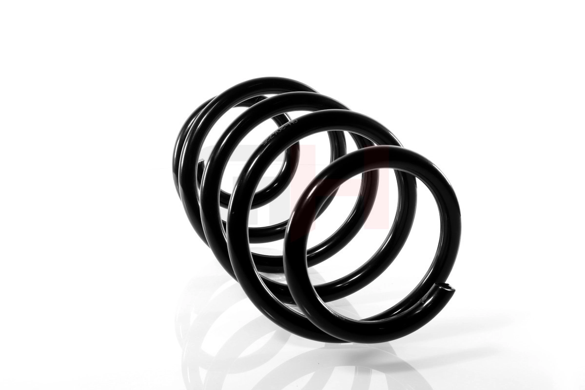 Suspension Spring GH-204725