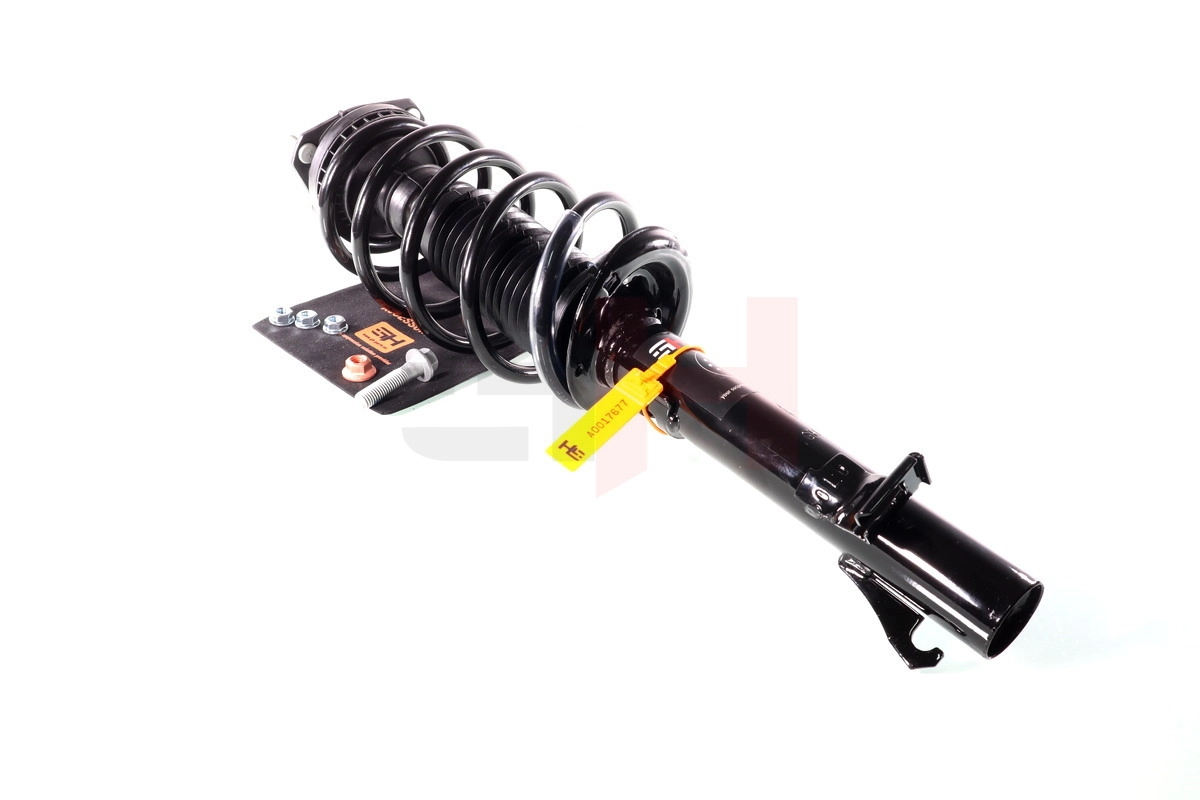 Suspension Strut Quick-Strut GH-352555C01
