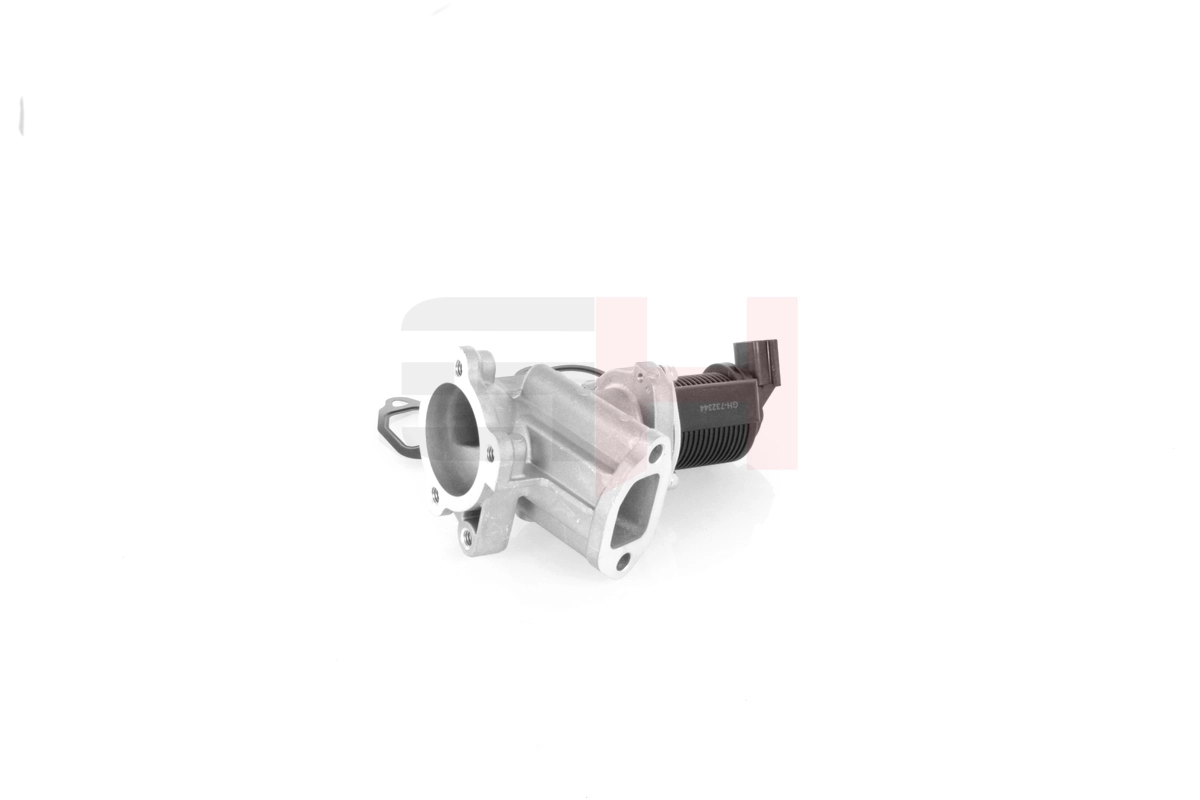 EGR Valve GH-732344