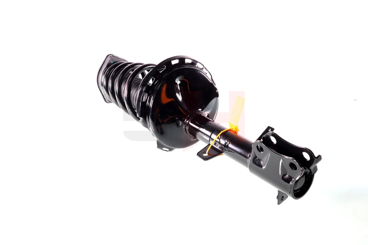 Suspension Strut Quick-Strut GH-356301C01