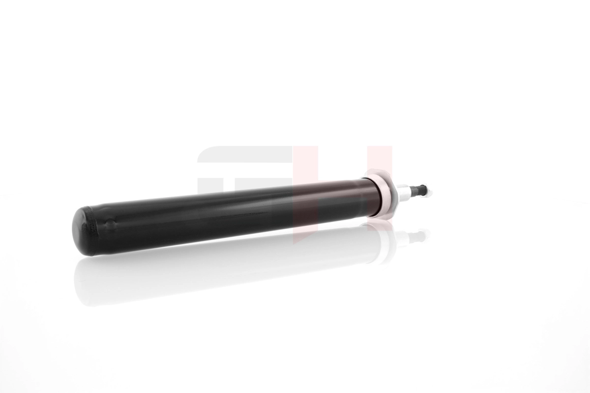 Shock Absorber GH-313612