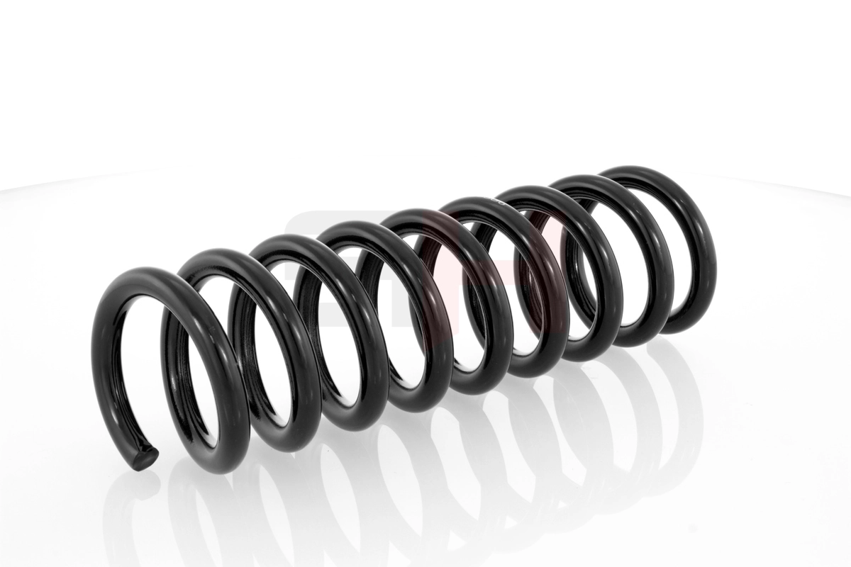 Suspension Spring GH-223306