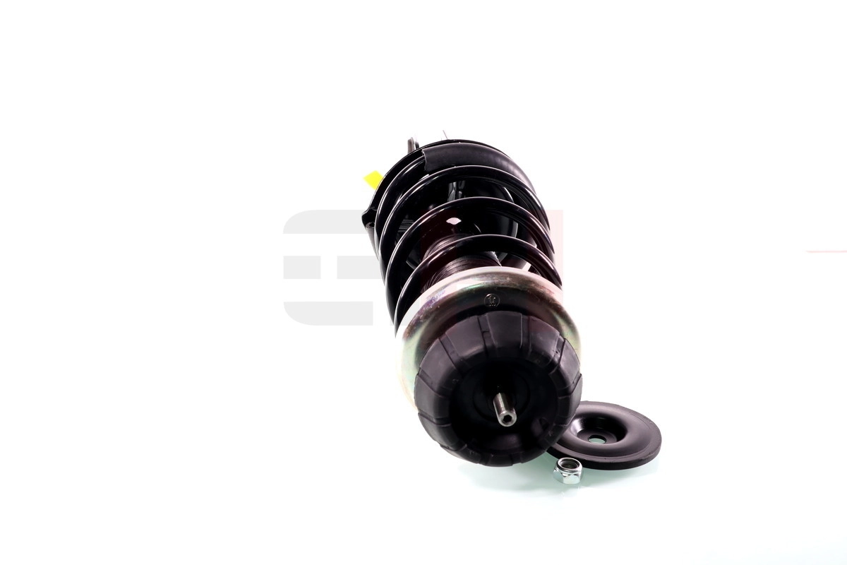 Suspension Strut Quick-Strut GH-355204C01