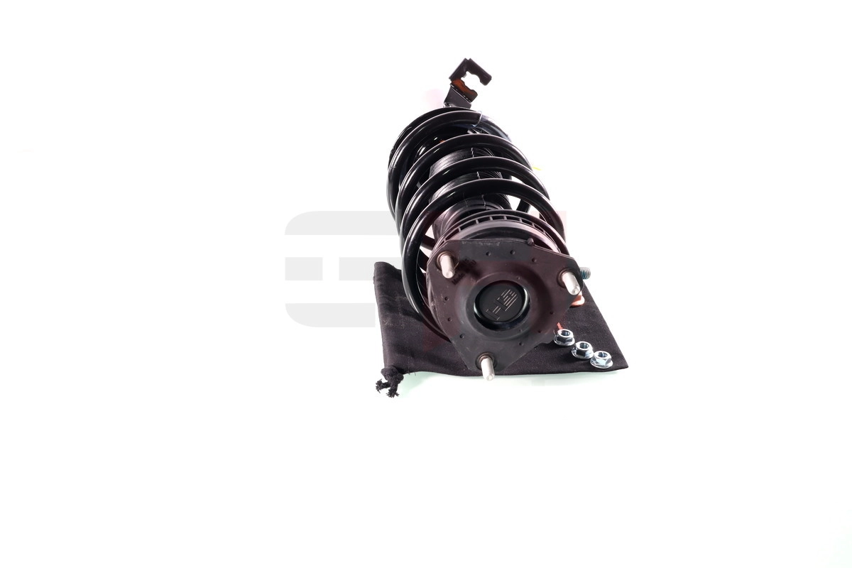 Suspension Strut Quick-Strut GH-352555C01