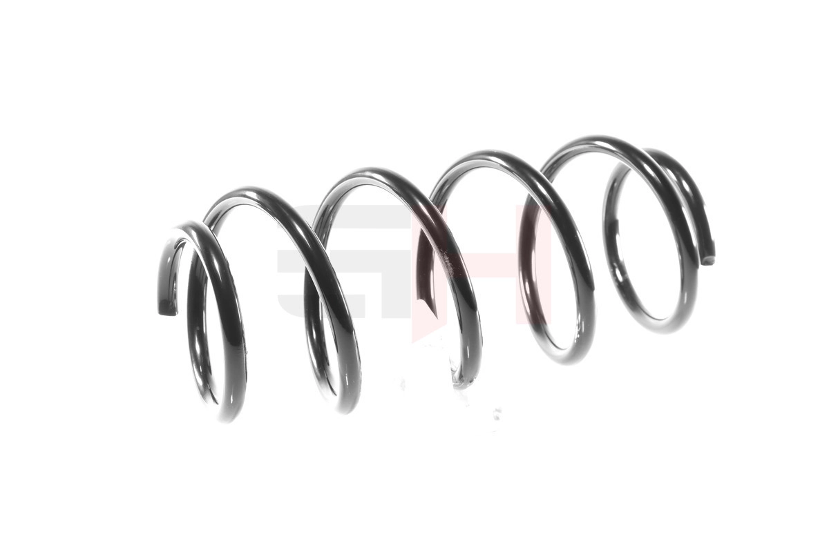 Suspension Spring GH-203620