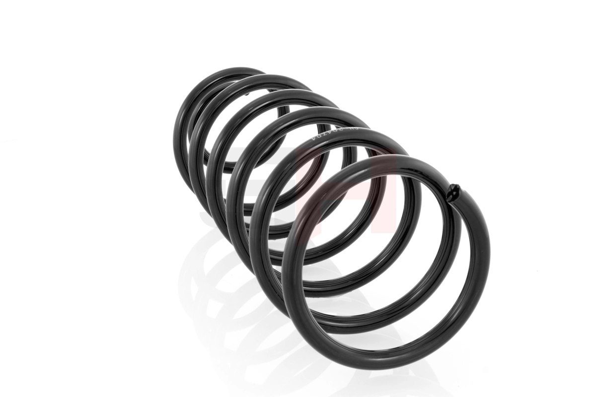 Suspension Spring GH-204704