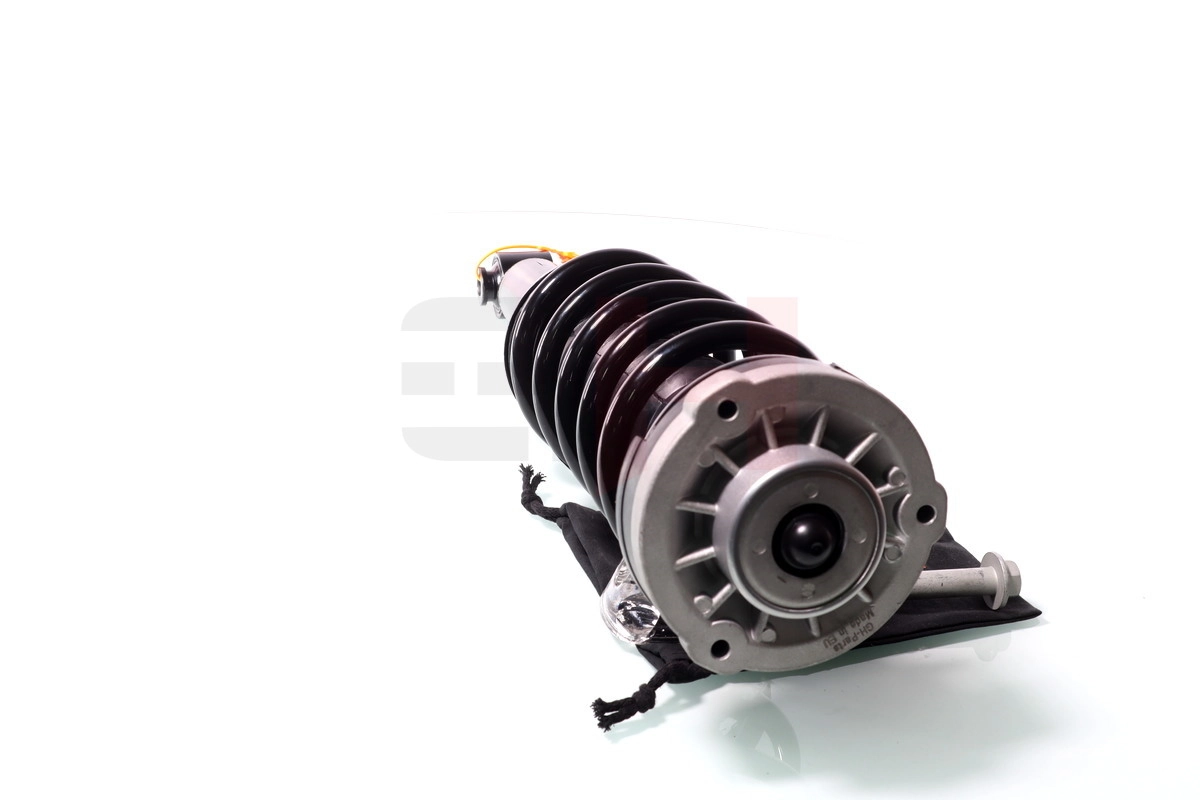 Suspension Strut Quick-Strut GH-331514C01