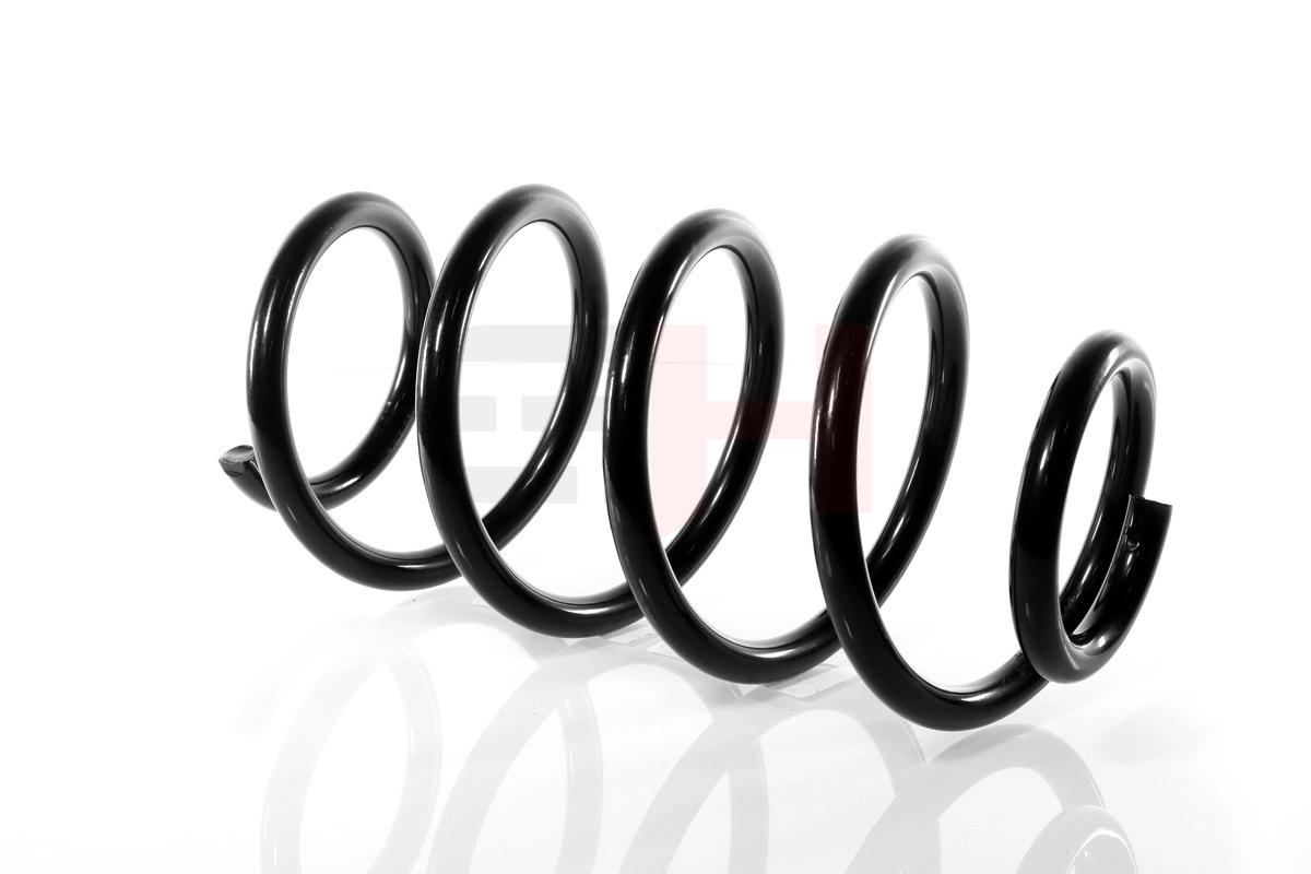 Suspension Spring GH-204725