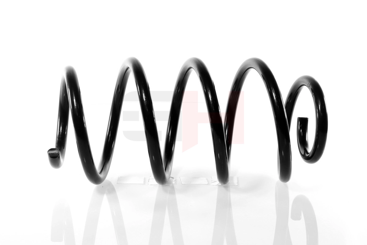 Suspension Spring GH-204725