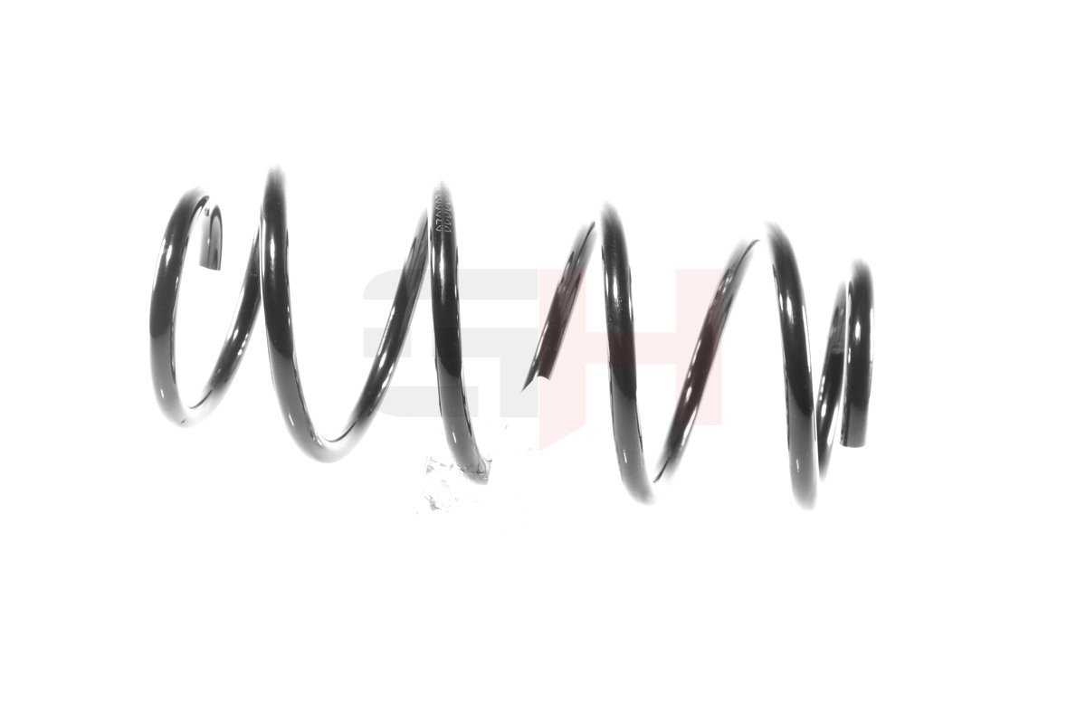 Suspension Spring GH-203620