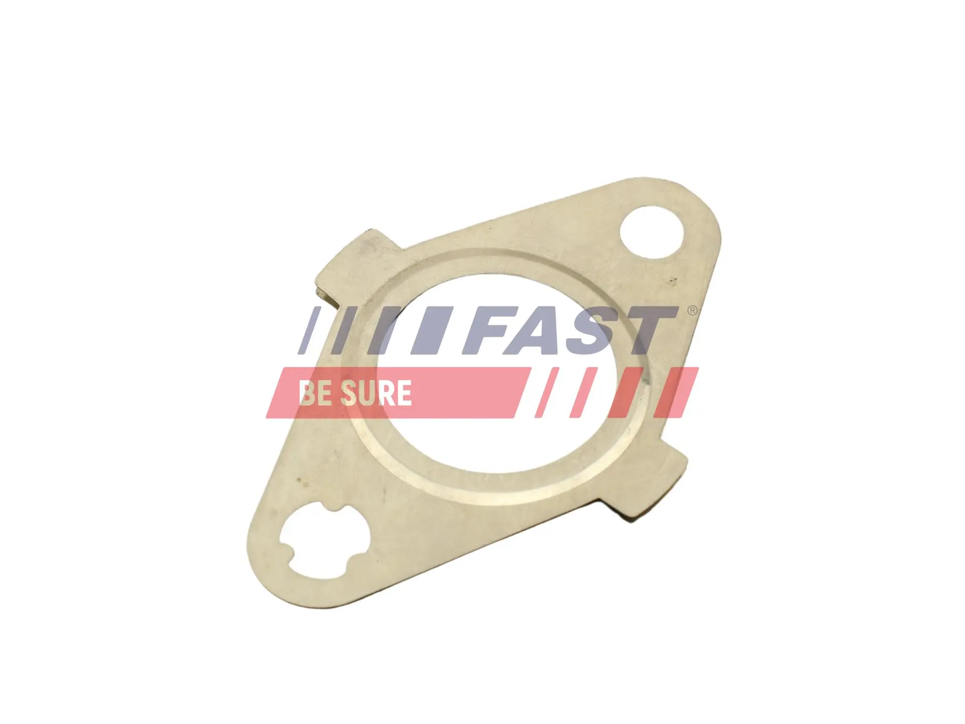 Gasket, EGR valve FT50612
