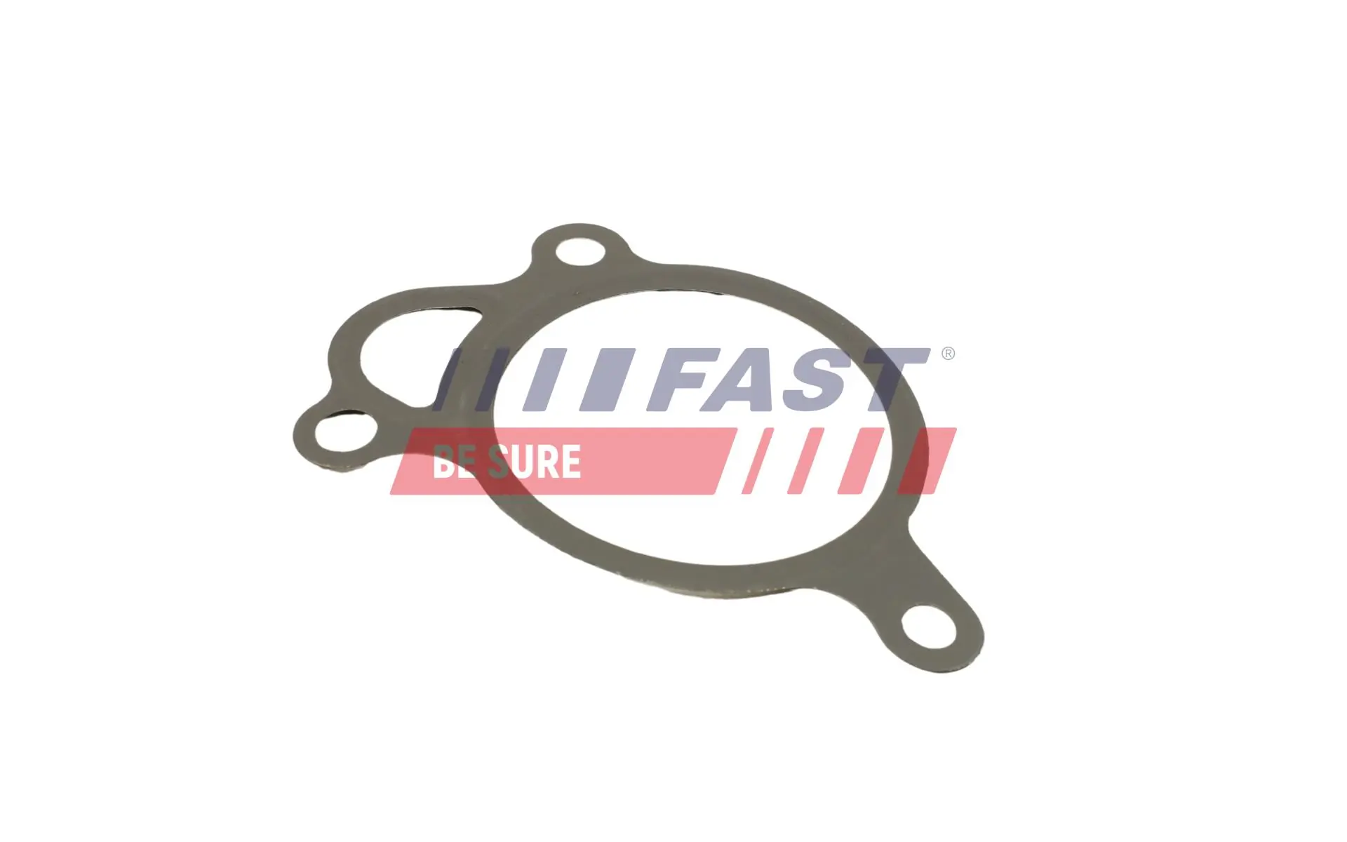 Gasket, EGR valve FT50605