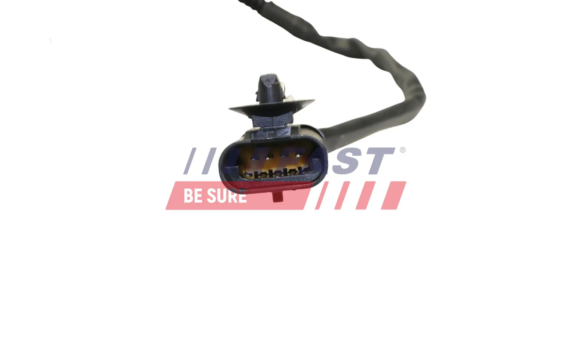 Radiator Hose FT53152