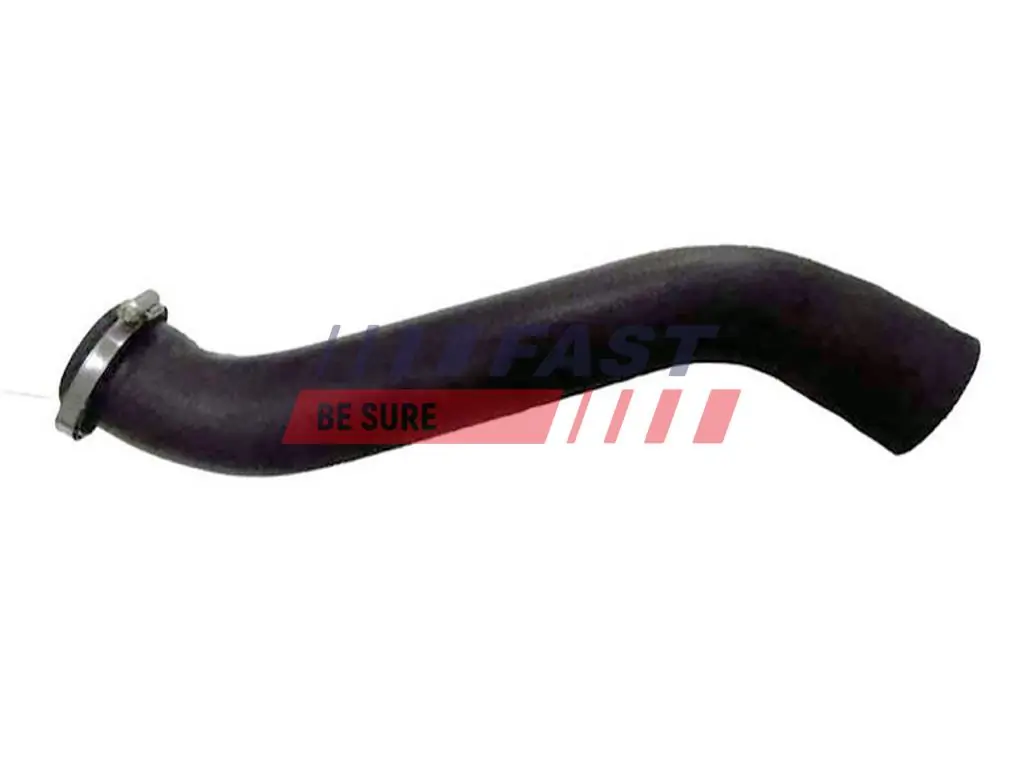 Radiator Hose FT61561