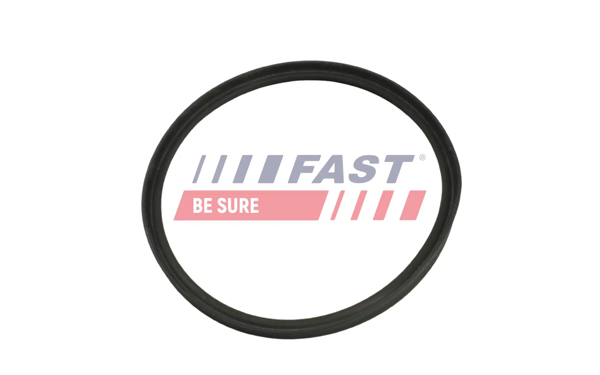 Seal Ring, charge air hose FT48965