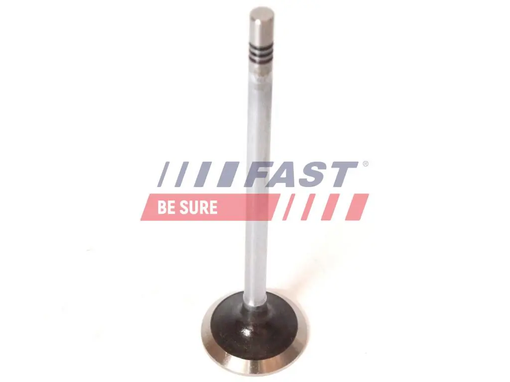 Exhaust Valve FT50068