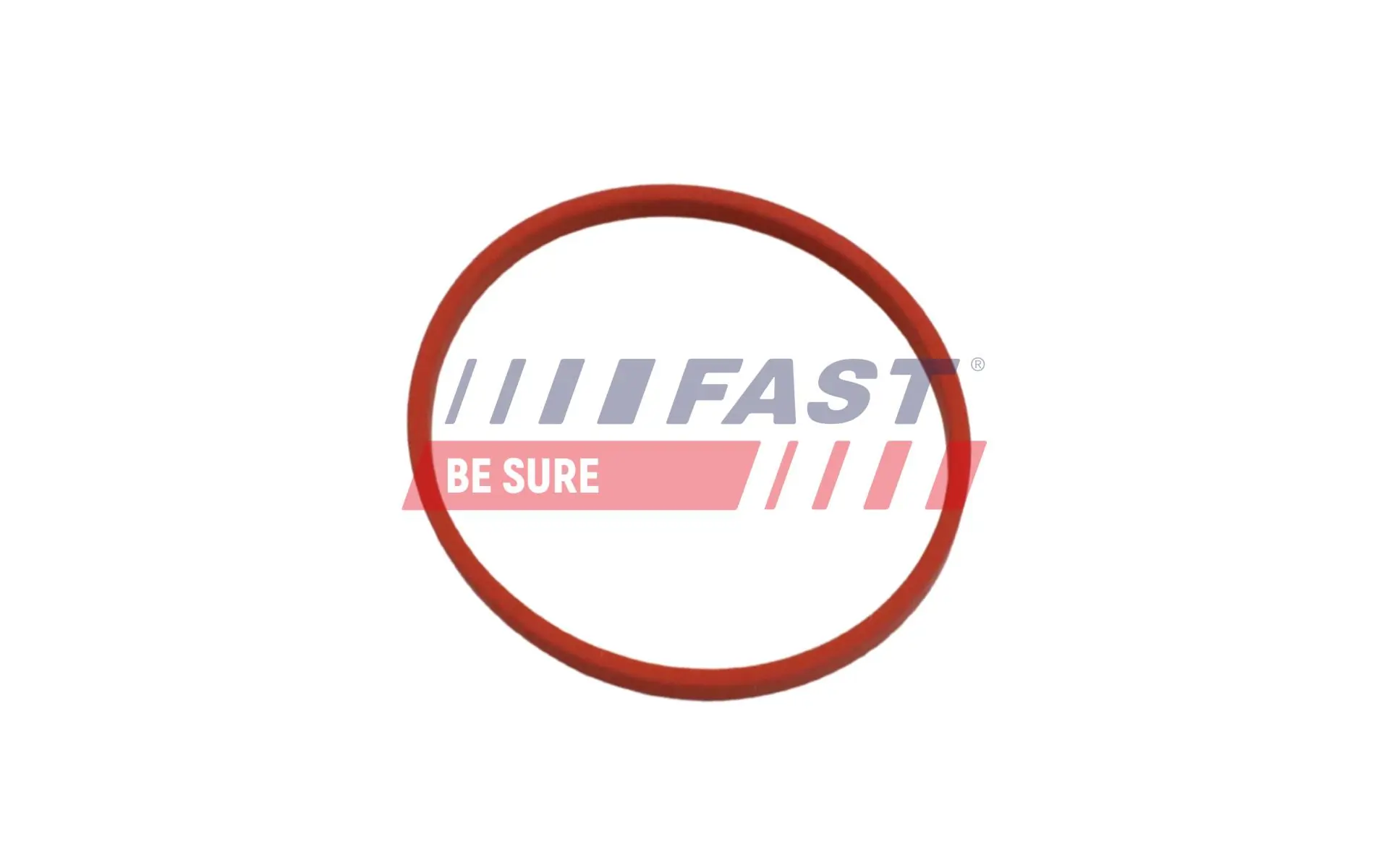 Shaft Seal, crankshaft FT49861