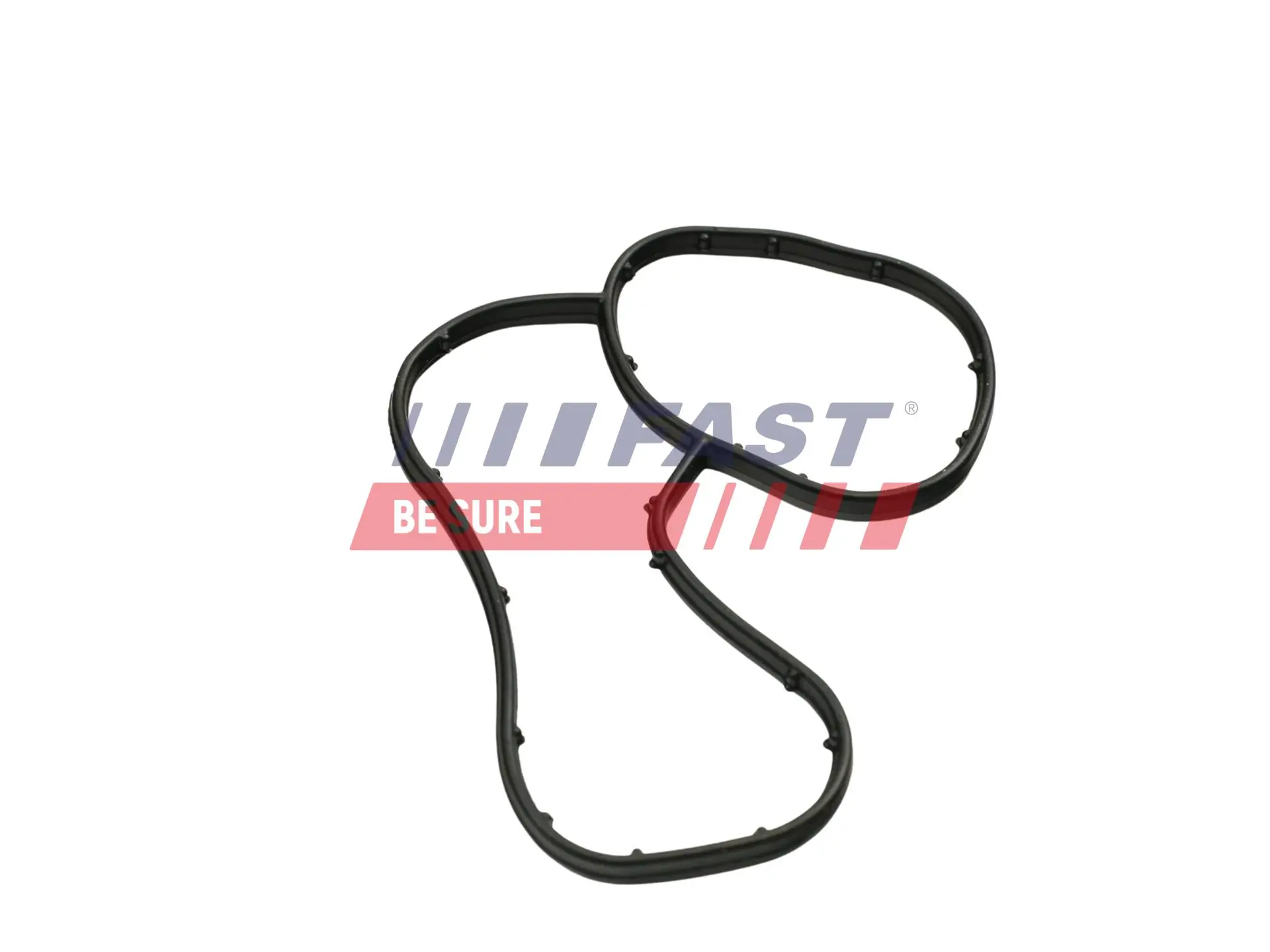 Gasket, vacuum pump FT48943