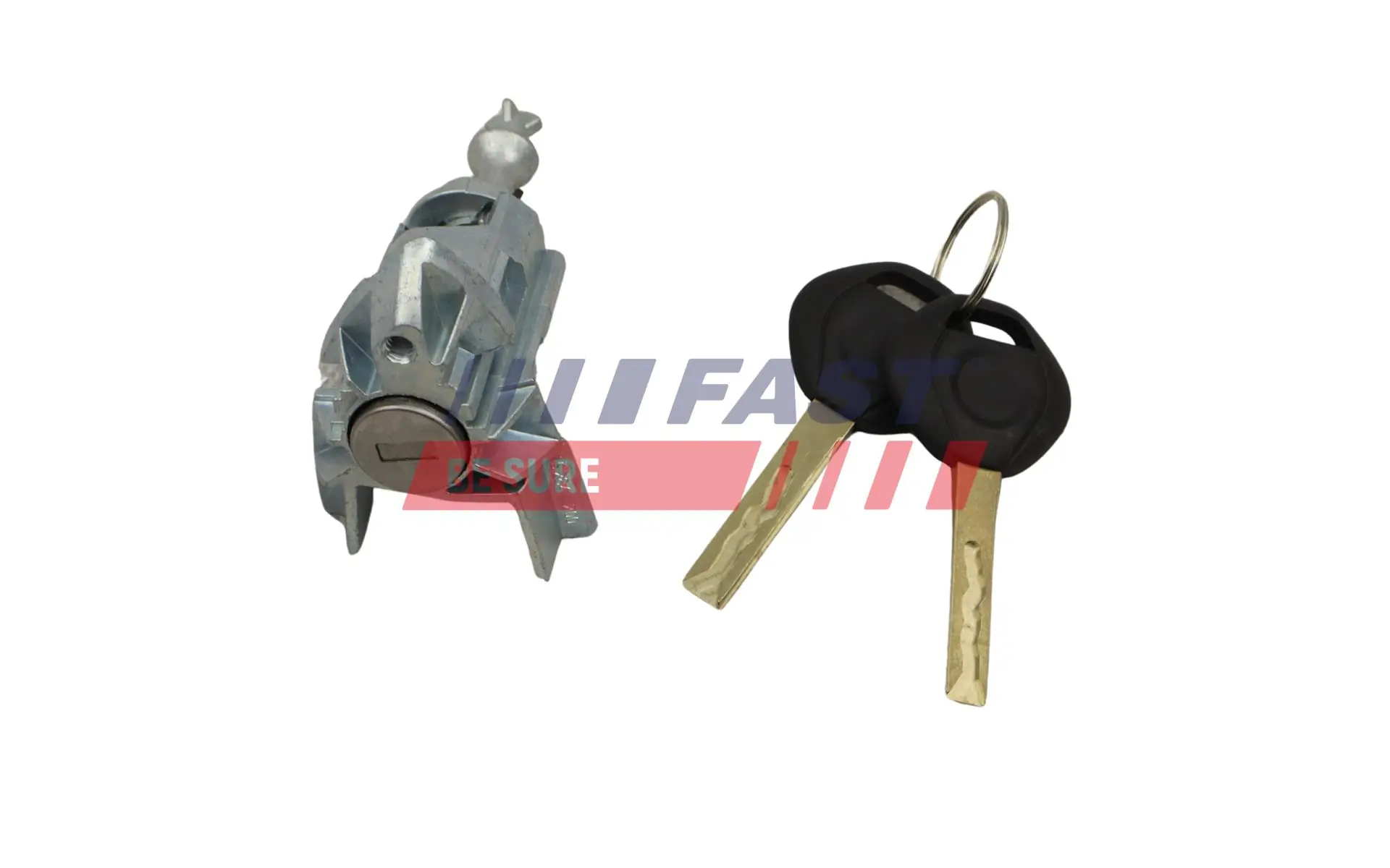 Lock Cylinder FT00295