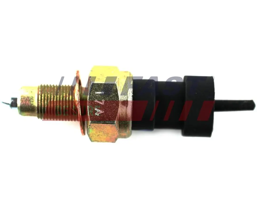 Switch, reverse light FT81083