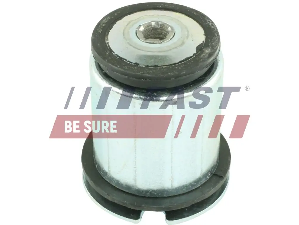 Bushing, axle beam FT18291