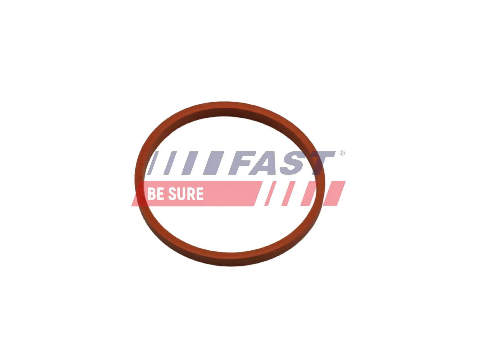 Seal Ring, charge air hose FT48932