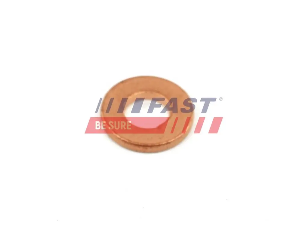 Seal Ring, nozzle holder FT49848