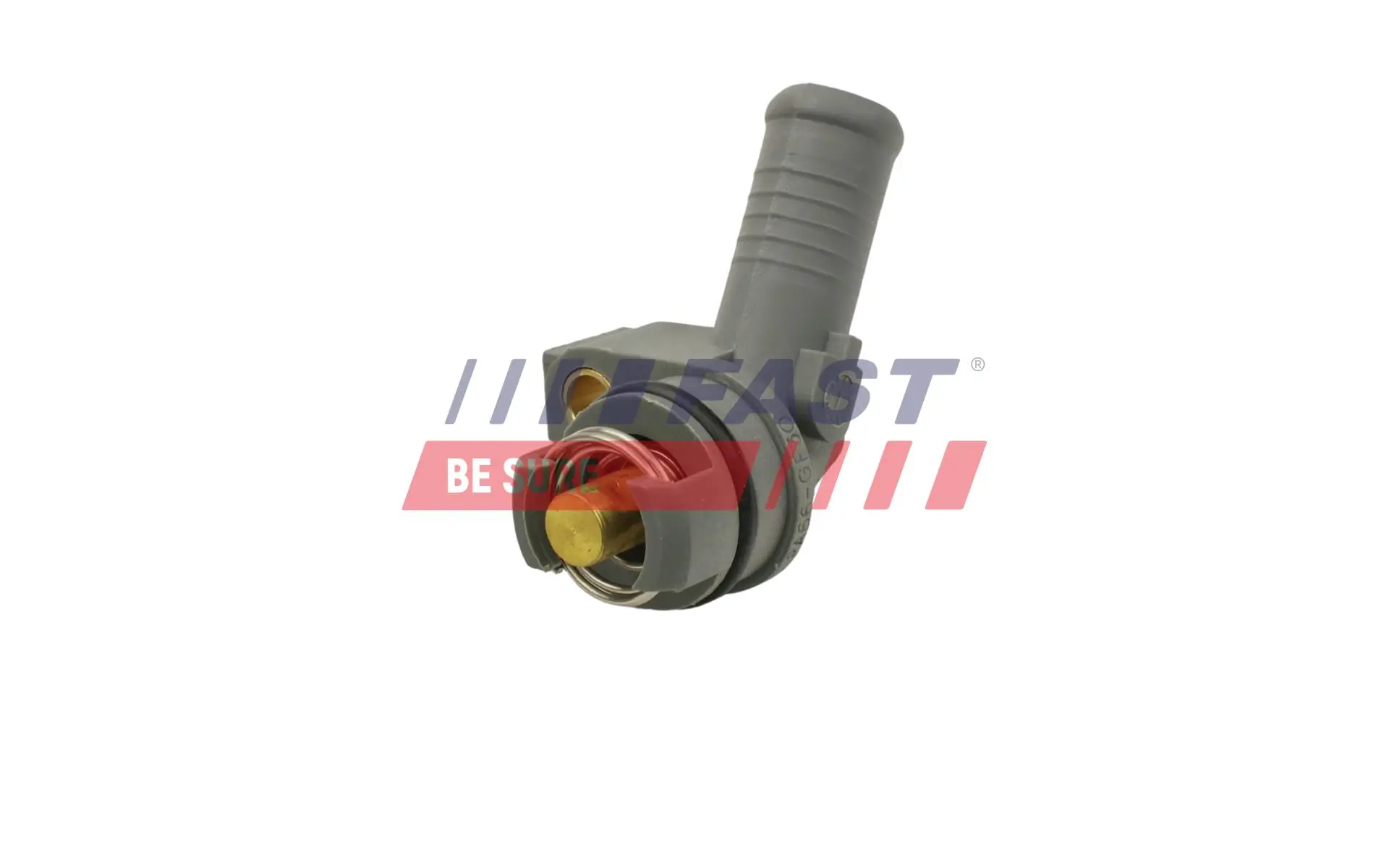 Radiator Hose FT61678