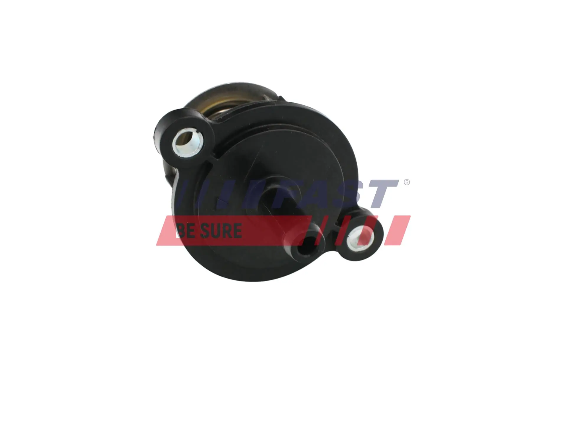 Thermostat, coolant FT58030