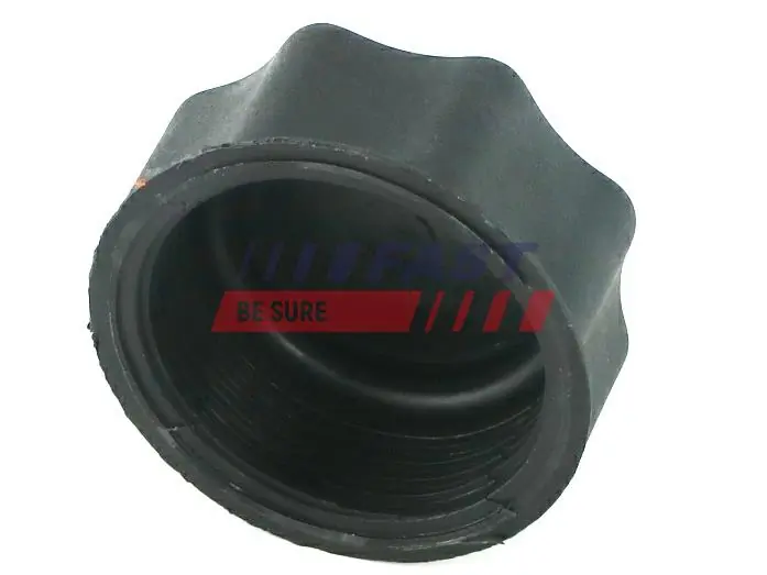 Sealing Cap, oil filler neck FT94718